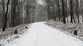 robertobaggio fotója