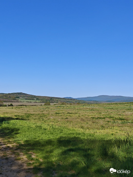 Berkenye