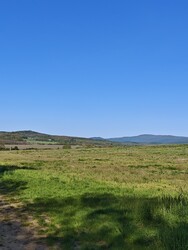 Berkenye