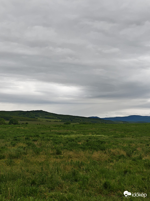 Berkenye