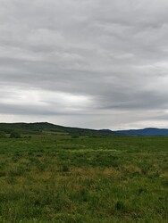 Berkenye