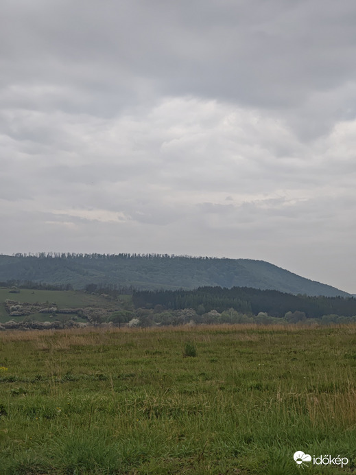 Berkenye