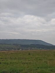 Berkenye
