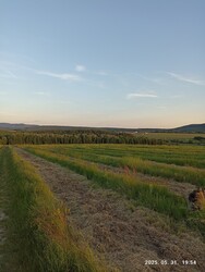 Nógrád