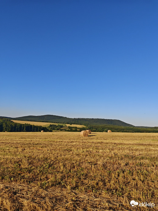Berkenye
