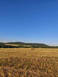 Berkenye