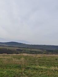 Berkenye