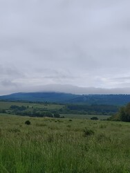 Berkenye