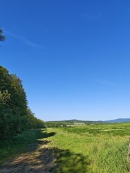 Berkenye