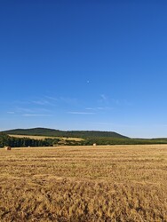 Berkenye