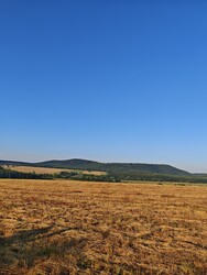 Berkenye
