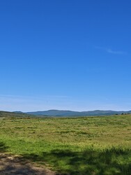 Berkenye