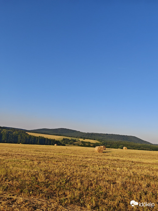 Berkenye