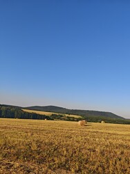Berkenye