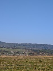 Berkenye