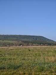 Berkenye
