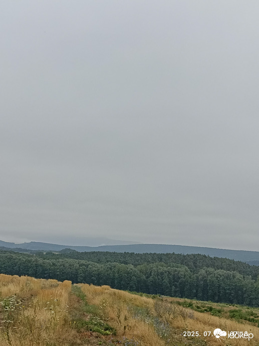 Berkenye