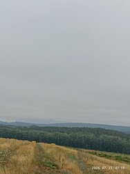 Berkenye