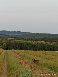 Nógrád
