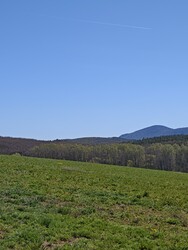 Berkenye