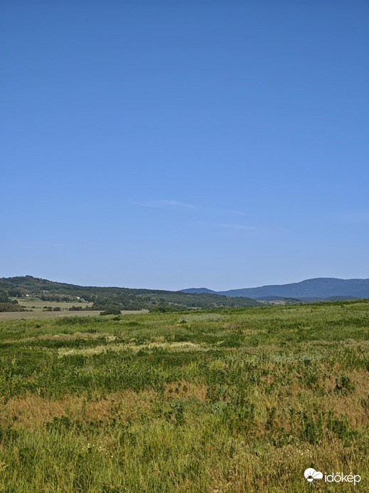 Berkenye