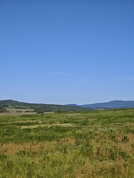 Berkenye
