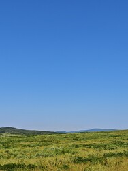 Berkenye