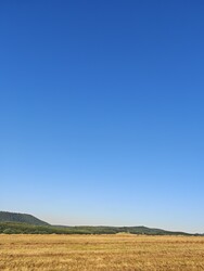 Berkenye