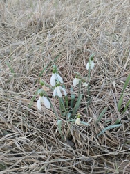 Valahol a mezőföldön....