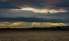 Eső után