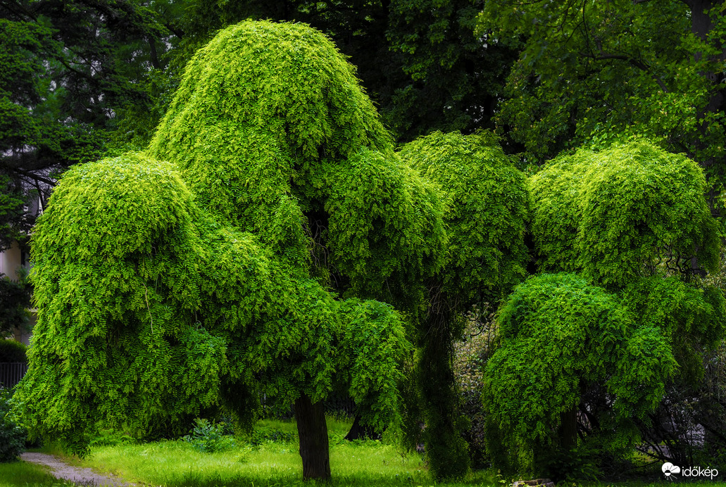 Szombathely, KRESZ park
