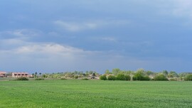 Pápa