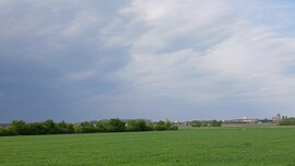 Pápa