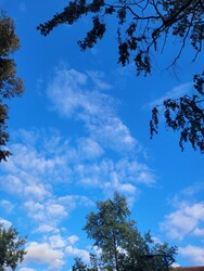Kazincbarcika