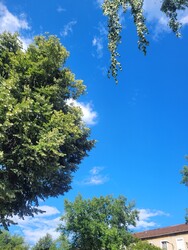 Kazincbarcika