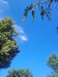 Kazincbarcika