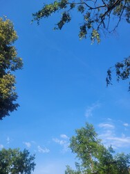 Kazincbarcika