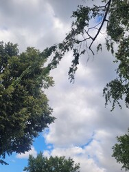 Kazincbarcika