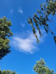 Kazincbarcika