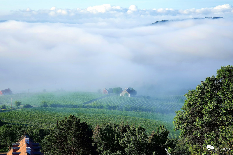 Pazar látványt nyújtó gyönyörű reggel!  Szent György-hegyről csodálva..  Balaton 2018-05-16