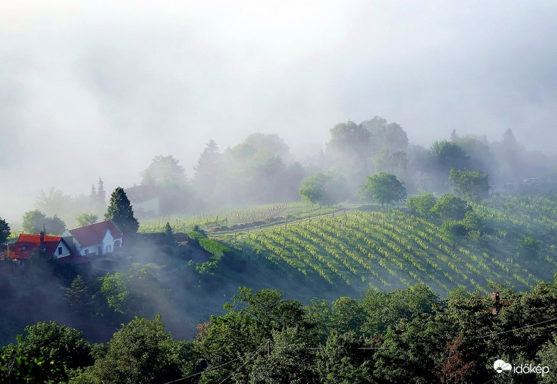 Pazar látványt nyújtó gyönyörű reggel!  Szent György-hegyről csodálva..  Balaton 2018-05-16