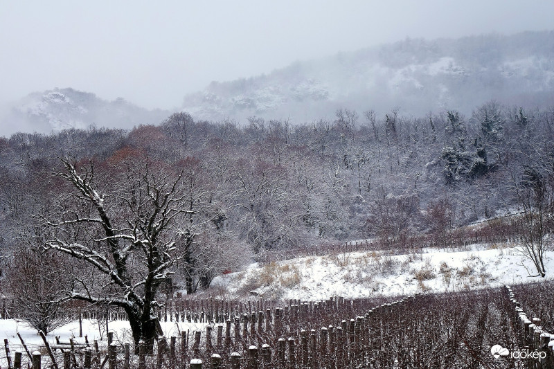 Végre az igazi tél szépsége. Kisapáti, Szent György-hegy 2019.01.05.