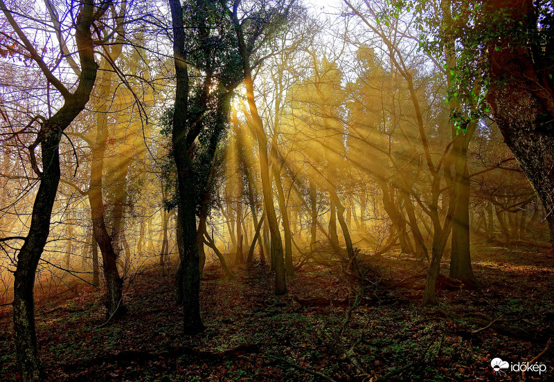 Badacsony csúcsán egy  szép reggeli, párás órában 