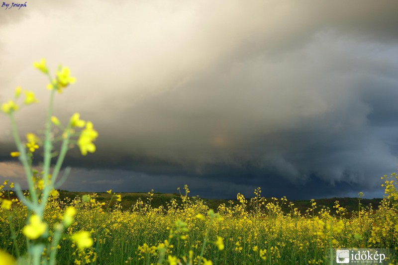 Gyönyörű színek 2015.05.02.