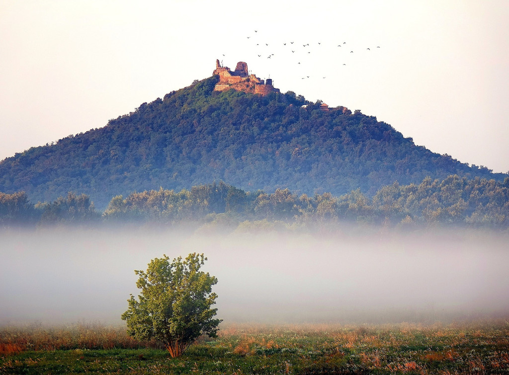 Csodás Látvány  2018.08.08.