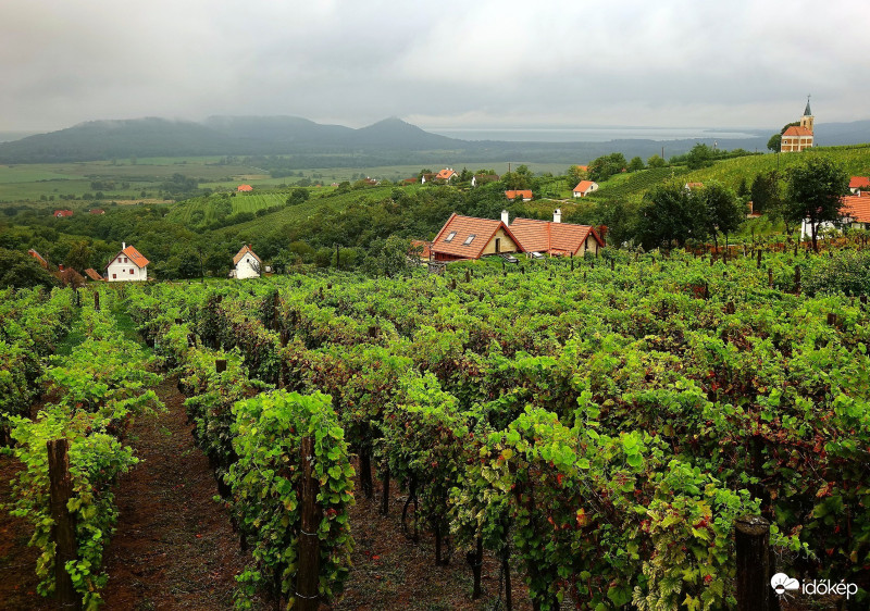 Egy jellegzetes szeptemberi reggel a Szent György-hegyen, de mégis gyönyörű!  09.02.