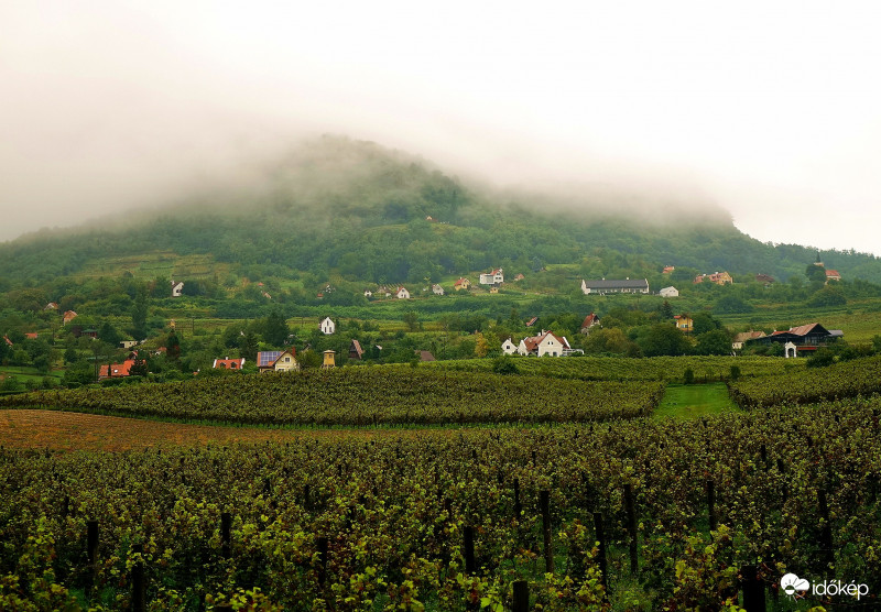 Egy jellegzetes szeptemberi reggel a Szent György-hegyen, de mégis gyönyörű!  09.02.