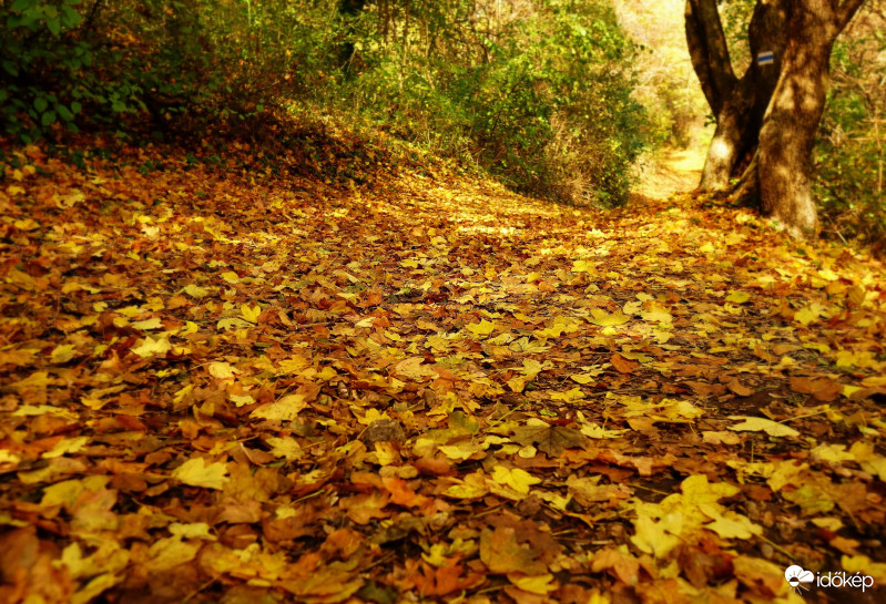 Szent György-hegyi reggel Balaton 2018.11.04.