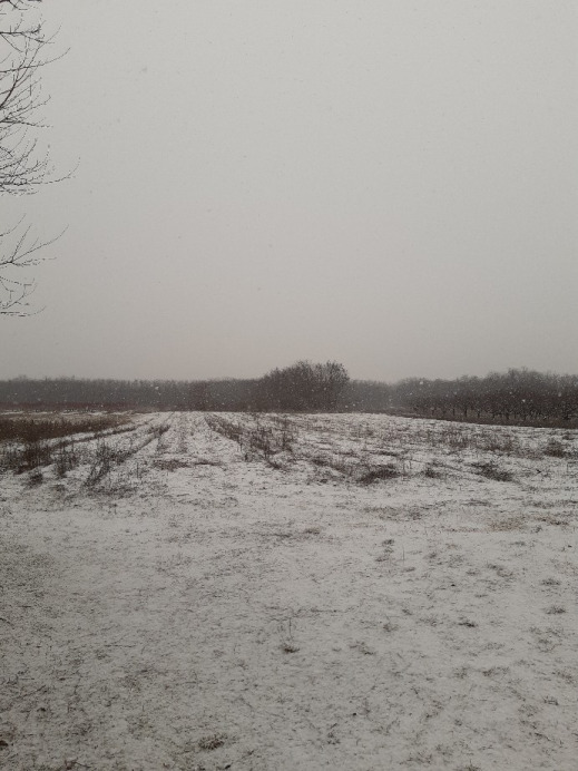 Felsőlajos