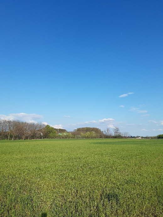 Felsőlajos